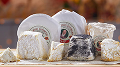 Cheese tasting